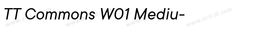 TT Commons W01 Mediu字体转换